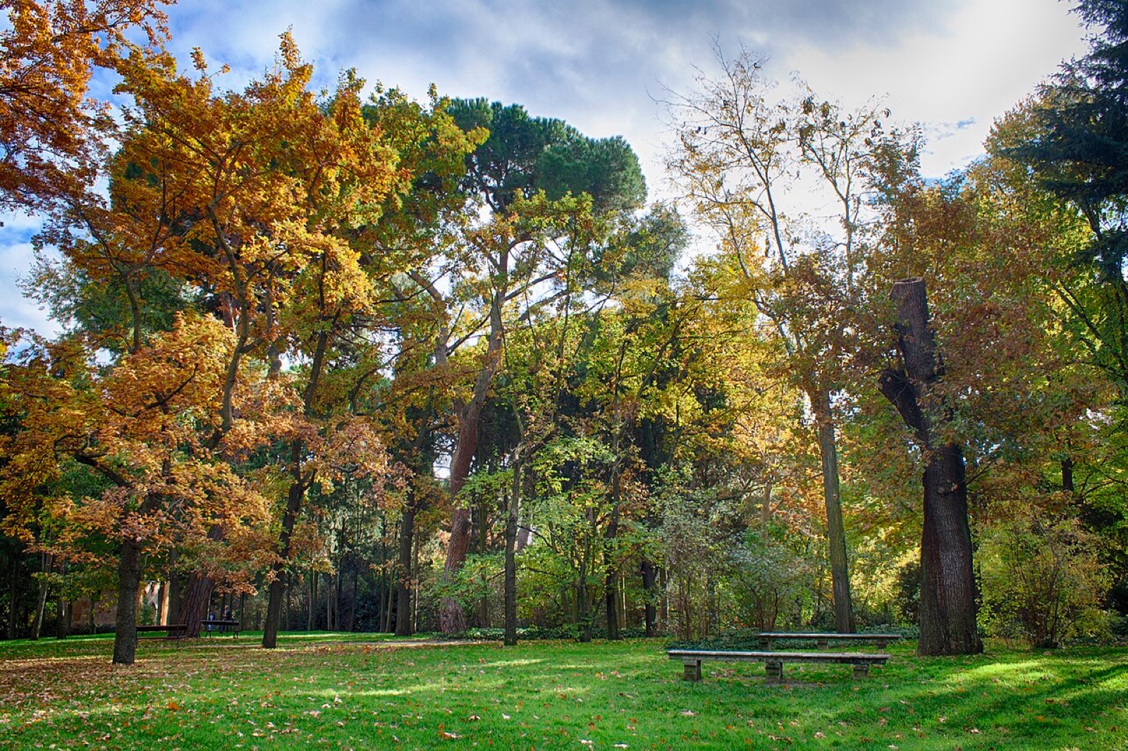 Zonas verdes del Parque Juan Carlos I, junto al edificio
